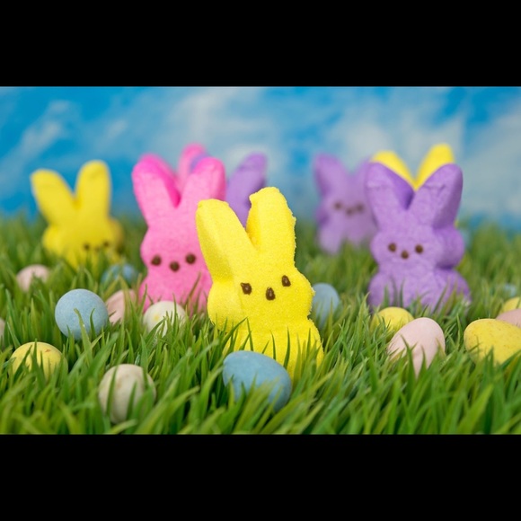 MAKE AN OFFER!! - Picture 4 of 5